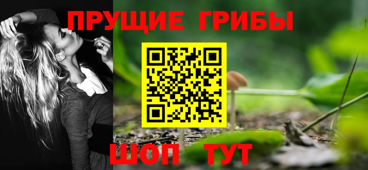 закладки  Вход с VPN  Артём  Псилоцибиновые грибы Psilocybe 
