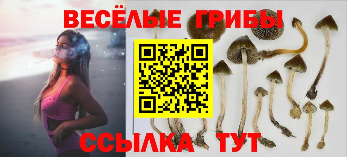 Галлюциногенные грибы мицелий Артём